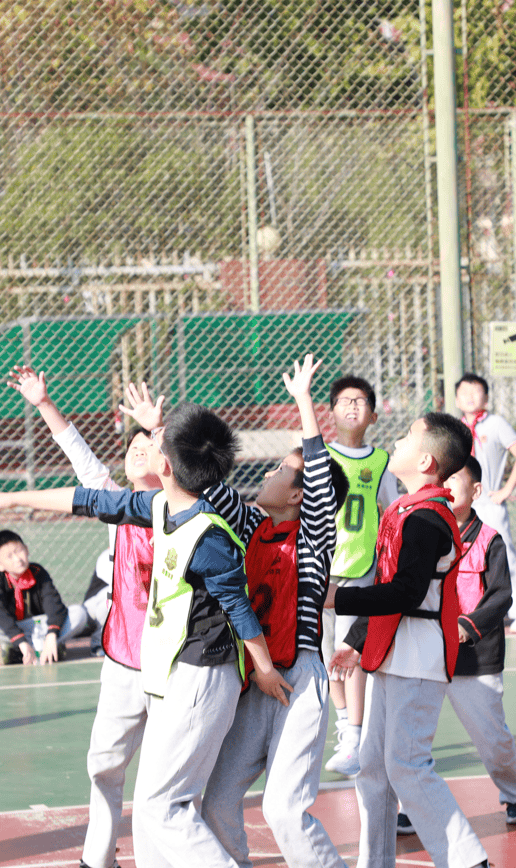 开云体育-TheShy迎来十二赛季出色发挥，篮网观众热烈欢呼！(therhythmoftherain)