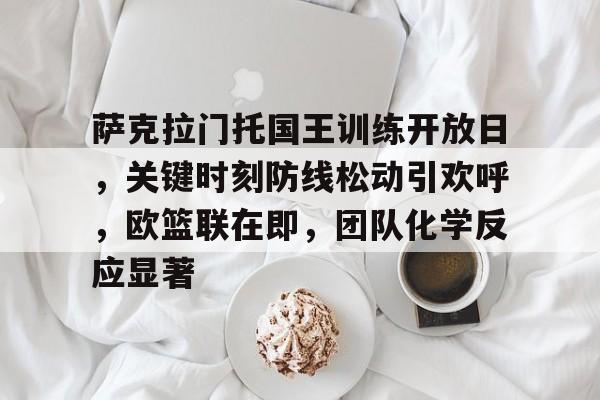 体育赛事-萨克拉门托国王训练开放日，关键时刻防线松动引欢呼，欧篮联在即，团队化学反应显著的简单介绍